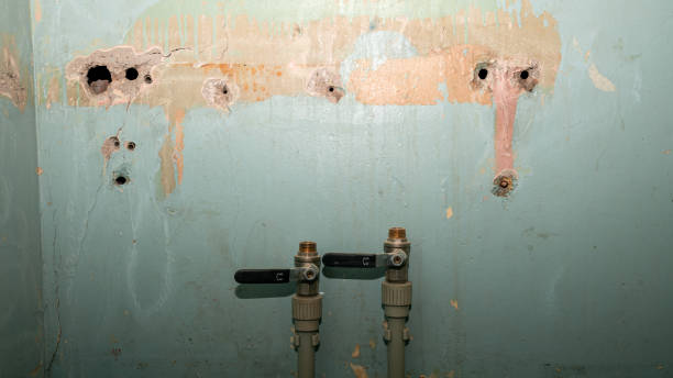 Best Ceiling water damage repair  in Cambridge, WI
